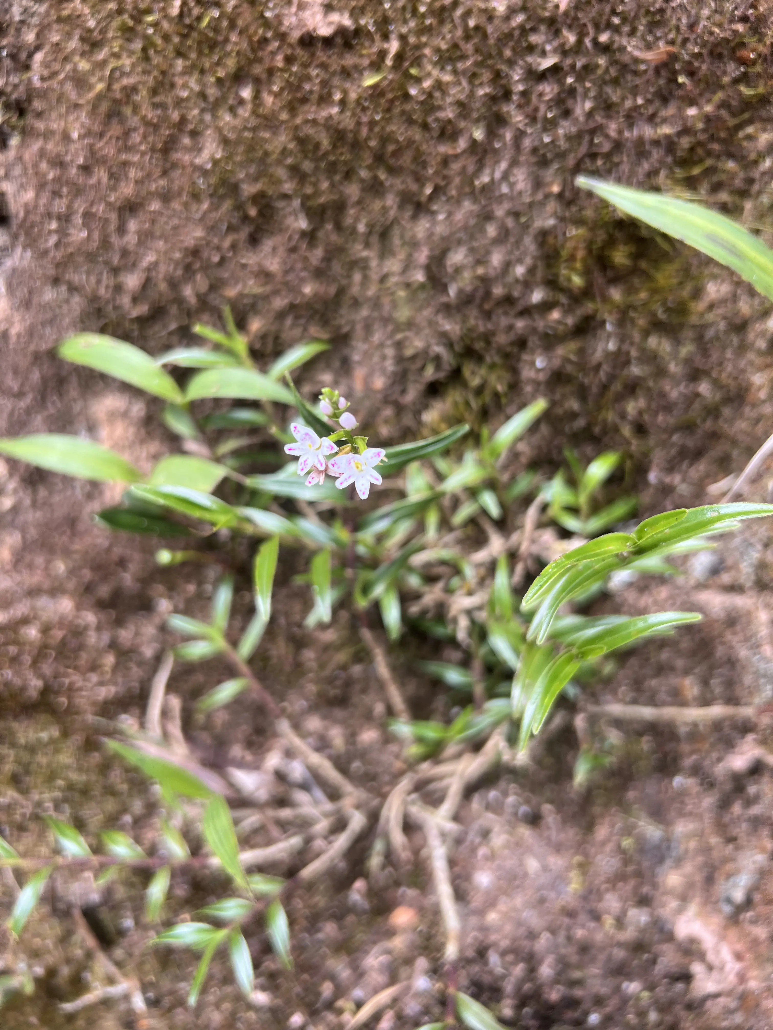 Guía para tu primer blog - Cuando no sabes de qué hablar